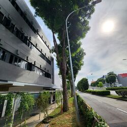 Sanctuary @ 813 (D19), Shop House #498305631